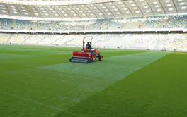 Speed Seed Kiev Stadium (1)