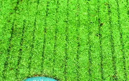 Bf2e80c2 F9e9 4Ae7 8921 D10a28ec3594 Triwave Kvadrat Yardagemarker2 768X768