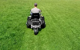 Caed2eca 9A41 4869 B7a7 4E7f946630a2 Fx27 984 768X768